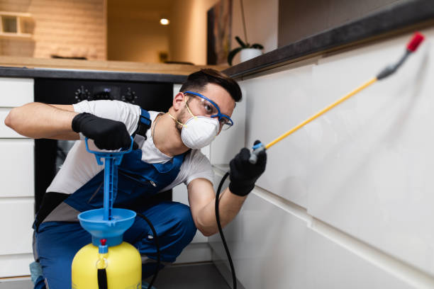 Best Commercial Pest Control Services  in Westville, OK