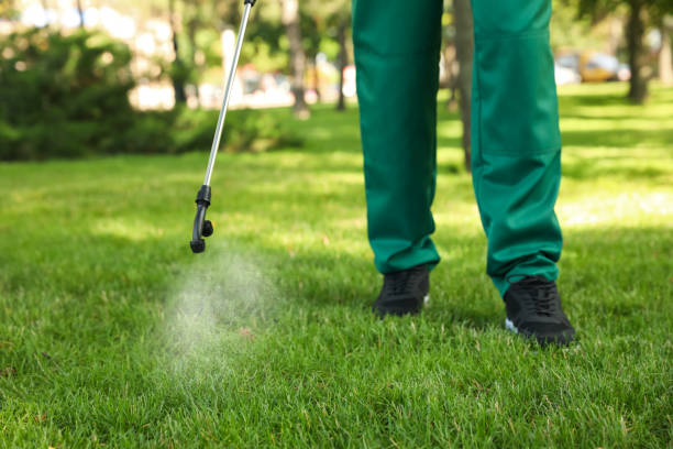 Best Affordable Pest Control Services  in Westville, OK