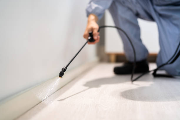 Best Pest Prevention Services  in Westville, OK