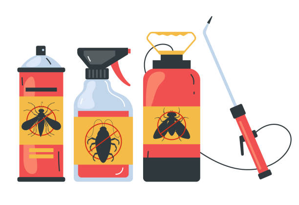 Best Ant Control Services  in Westville, OK